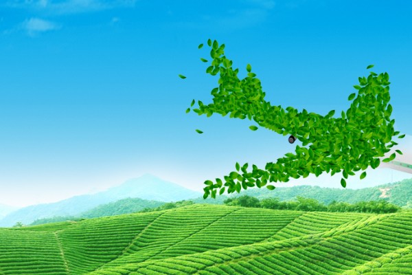“水形物語(yǔ)”：農(nóng)業(yè)科技是如何提高灌溉效率的？